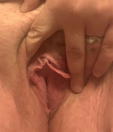 Monday Morning Pussy Anyone Scrolller