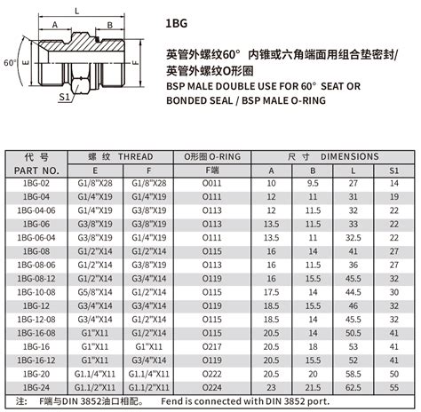 英管螺纹60° 锥面密封接头 宁波依得力液压制造有限公司