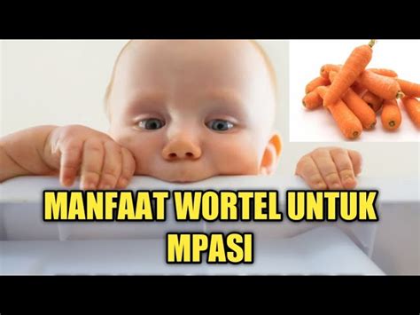 Temukan Manfaat Wortel Untuk Bayi Yang Jarang Diketahui Biotifor