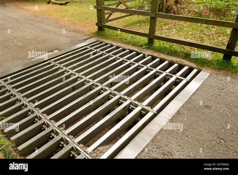 Cattle Grid In The New Forest Hampshire England Stock Photo Alamy