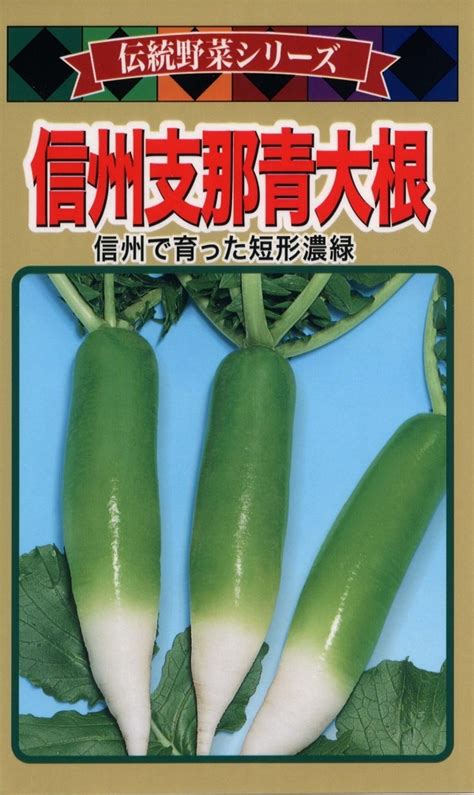 【楽天市場】【種子】伝統野菜シリーズ 信州支那青大根 トーホクのタネ：ivy