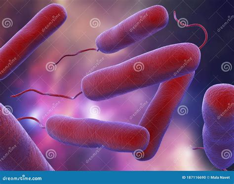 3D Illustration Of E Coli Bacteria Vibrios Type Category Stock