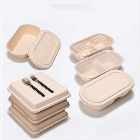 Biodegradable Disposable Eco Friendly Food Box BundleIT