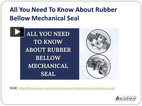 Ppt Things To Know About Rubber Bellow Mechanical Seal Beston Seals