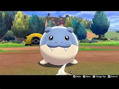 Spheal In Camp Pokemon Sword Shield YouTube