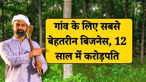 Village Business Idea गांव की खाली पड़ी जमीन पर लगाइए यह पेड़ 12 साल में होगी करोड़ों की कमाई