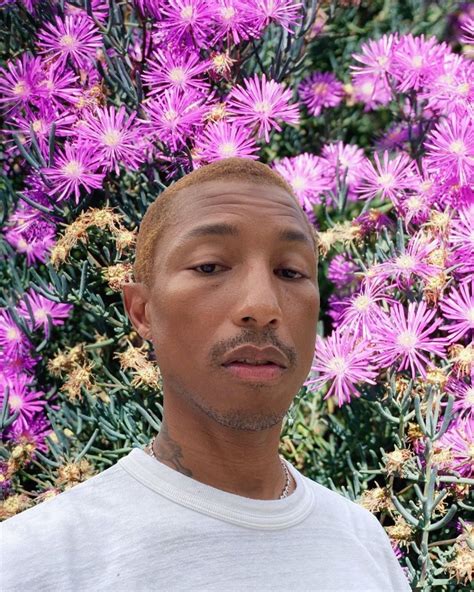 Pharrell Williams Vampire Meme