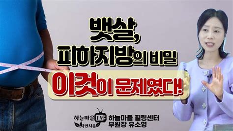 뱃살 피하지방의 비밀 이것이 문제였다 다이어트 복부비만 뱃살빼는법 Youtube