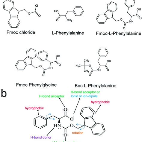 PDF Understanding The Self Assembly Of Fmoc Phenylalanine To Hydrogel