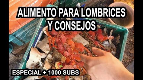 ALIMENTO PARA LOMBRICES Rutina Y Consejos ESPECIAL 1000