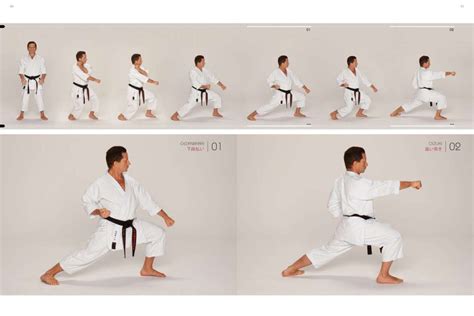 Karate Katas Heian Shodan Solo Artes Marciales