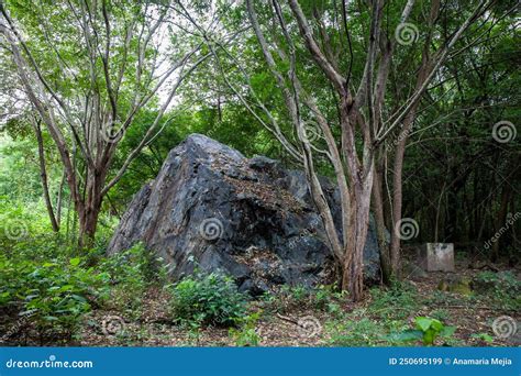 One Of The Gigantic Rocks Dragged By The Avalanche Caused By The