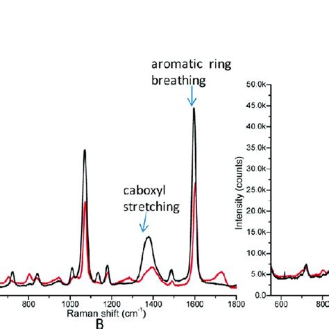 A Schematic Diagram Of Sers Setup B Typical Sers Spectra Of Ag Mba Download Scientific