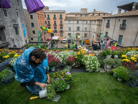 Últims retocs sota la pluja als projectes de Temps de Flors U Comas