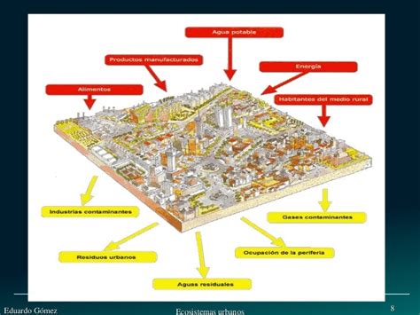 Tema 10 Ecosistemas Urbanos