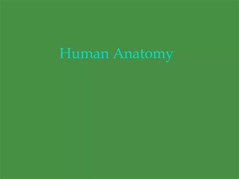 Introduction Human Anatomy Ppt