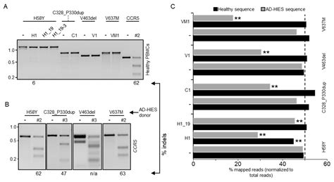 Genes Free Full Text Allele Specific Disruption Of A Common Stat3 Autosomal Dominant Allele