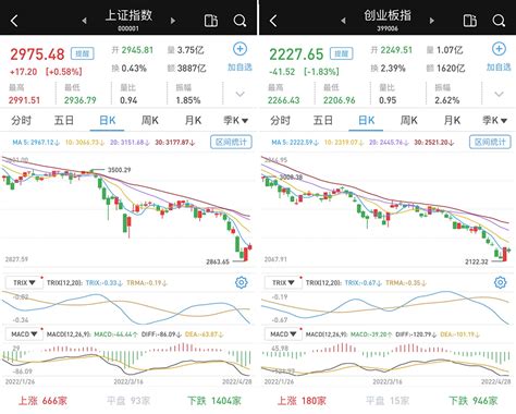 权重股力挺沪指收红：创指跌183，3462只个股收跌