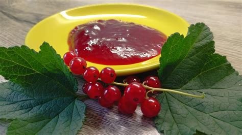 A Very Simple Recipe For Delicious Red Currant Jam Only 2 Ingredients Fresh Berries And Sugar