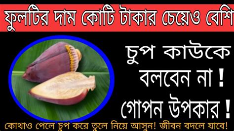 আপনি ফুলটি পেলে ভুলেও কাওকে দেবেন না। কোটি কোটি টাকা দিয়েও ফুলটি কেও