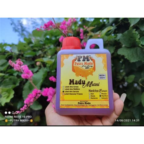 Jual Madu Lebah Apis Dorsata Madu Lebah Gung Madu Hutan Shopee Indonesia