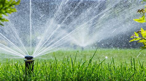 Benefits Of Sprinkler Systems Xscapes Irrigation And Landscapes Inc