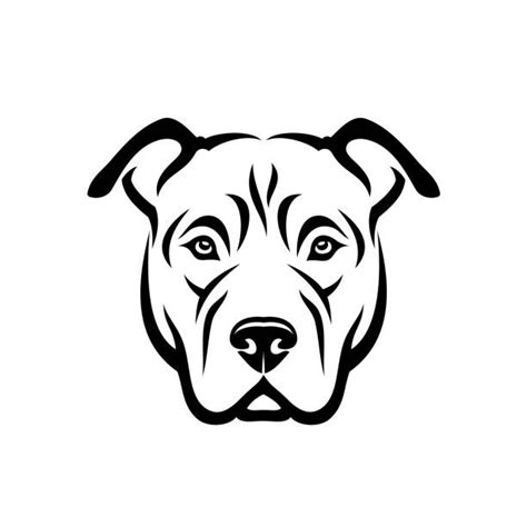 Pitbull Illustrations Royalty Free Vector Graphics And Clip Art Istock