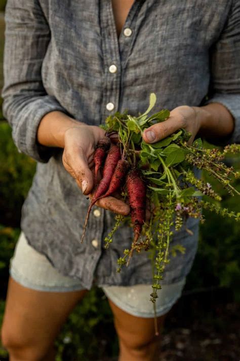 When To Fertilize Your Vegetable Garden Top Globe News