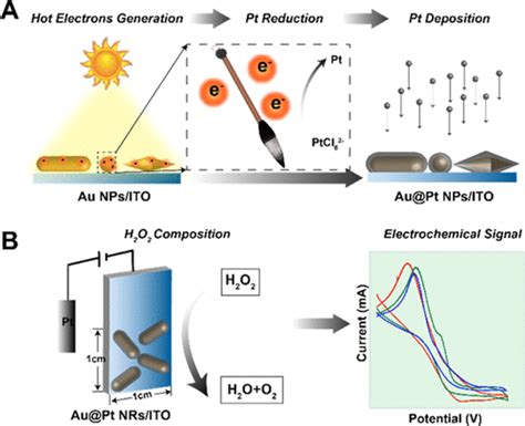 Plasmonic Hot Electron Painted Au Pt Nanoparticles As Efficient