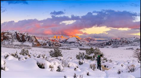 Top 10 Reason to visit Zion National Park during the winter off-season ...