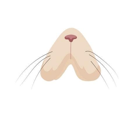 Cat Nose Vector Art, Icons, and Graphics for Free Download