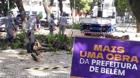 Semma Revitaliza Rvores Na Avenida Presidente Vargas E No Entorno