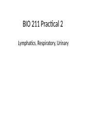 Lab Practicum 2 Docx BIO 211 Practical 2 Lymphatics Respiratory