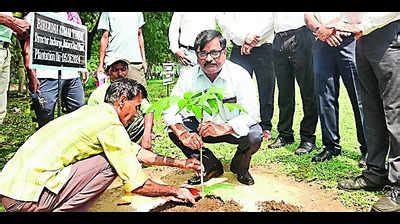 Plantation Drives Mark World Environment Day Celebrations Ranchi News