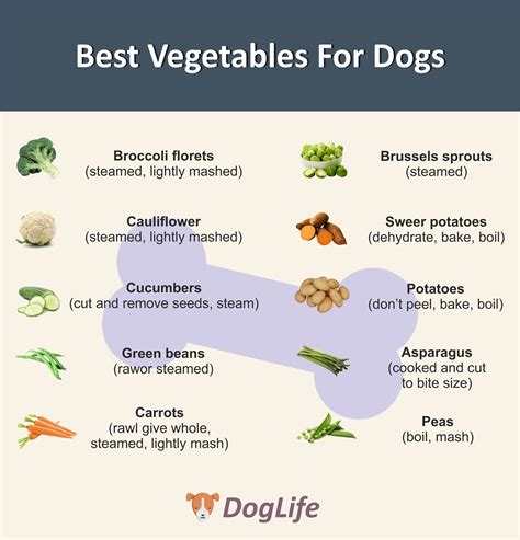 Best Vegetables For Dogs Dog Safe Food Foods Dogs Can Eat Easy Dog