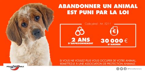 Abandon Danimaux Le Cri Dalerte Des Spa Les Affiches De La Haute Sa Ne