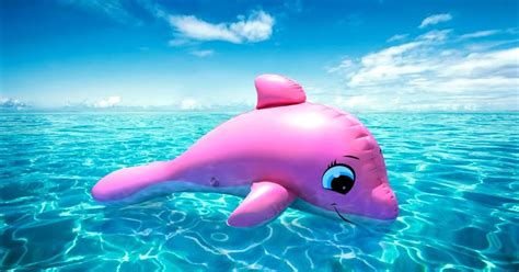 Baby Amazon Pink River Dolphin | Amazing Wallpapers