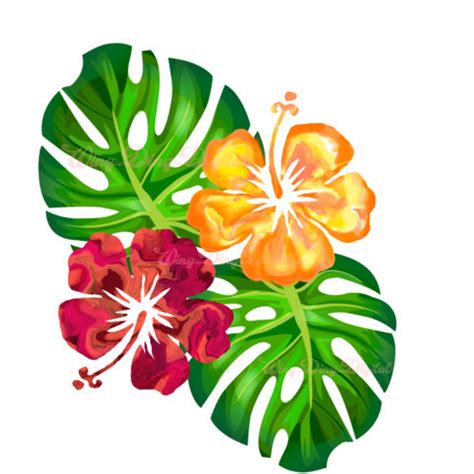 Hibiscus Monstera Tropical Svg Island Flower Tropical Graphic Luau