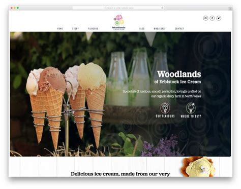 Best Ice Cream Websites For Inspiration Colorlib