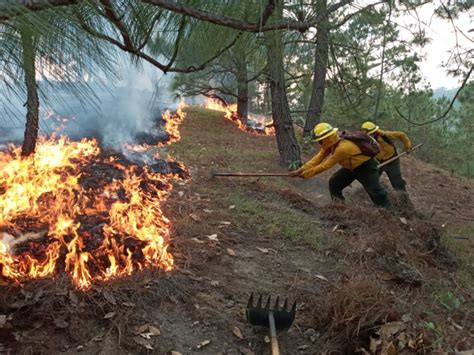 Guatemala después de los incendios Al Click