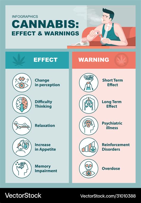 Cannabis Effects And Warnings Infographic Template