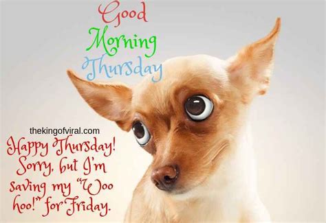 Thursday Funny Quotes And Images - ShortQuotes.cc