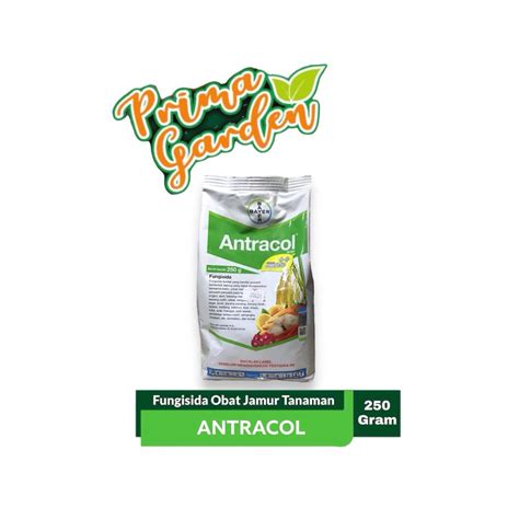 Jual Fungisida Antracol Wp Zinc Kemasan Pabrik Gram Shopee