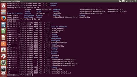 Terminal Do Linux Curso Gr Tis Ls Detalhado E Ls Exibindo Arquivos