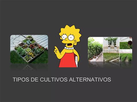 Propuesta Cultivos Alternativos Ppt