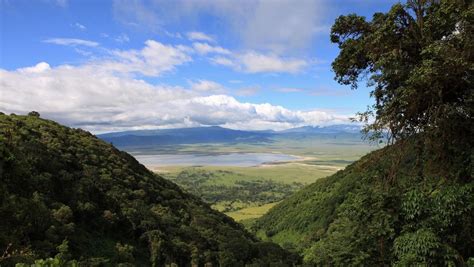 Days Tanzania Safari From Zanzibar Tarangire Ngorongoro