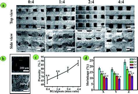 The Morphology Porosity And Shrinkage Of 3D Printed BG SA Composite