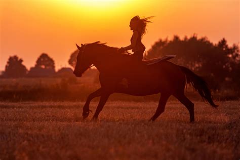 The Secrets of How to Plan a Happy Horse Farm - Saratoga Stalls ...