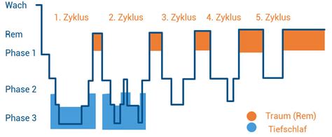 Gesunder Schlaf Schlafphasen Rem Schlaf Erkl Rt Praktischarzt