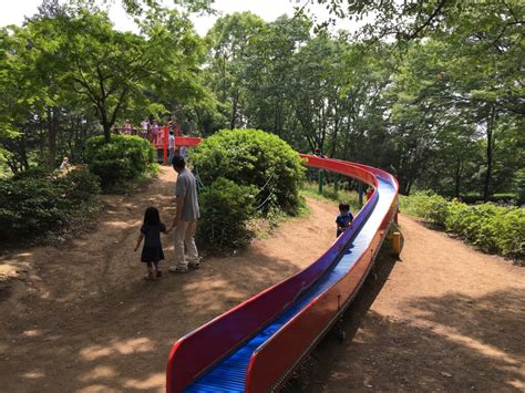 不規則な 一貫性のない 抽出 昭和 記念 公園 滑り台 地質学 耐える いくつかの